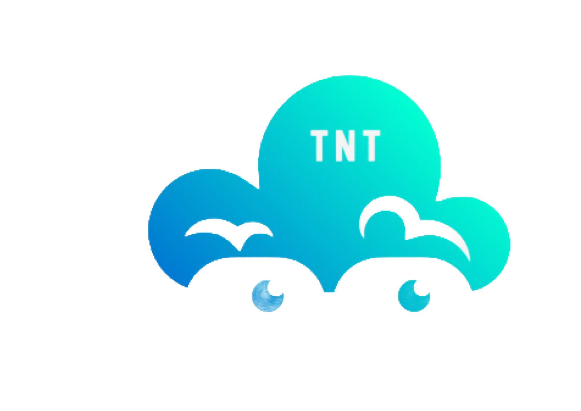 Hostingtnt.com